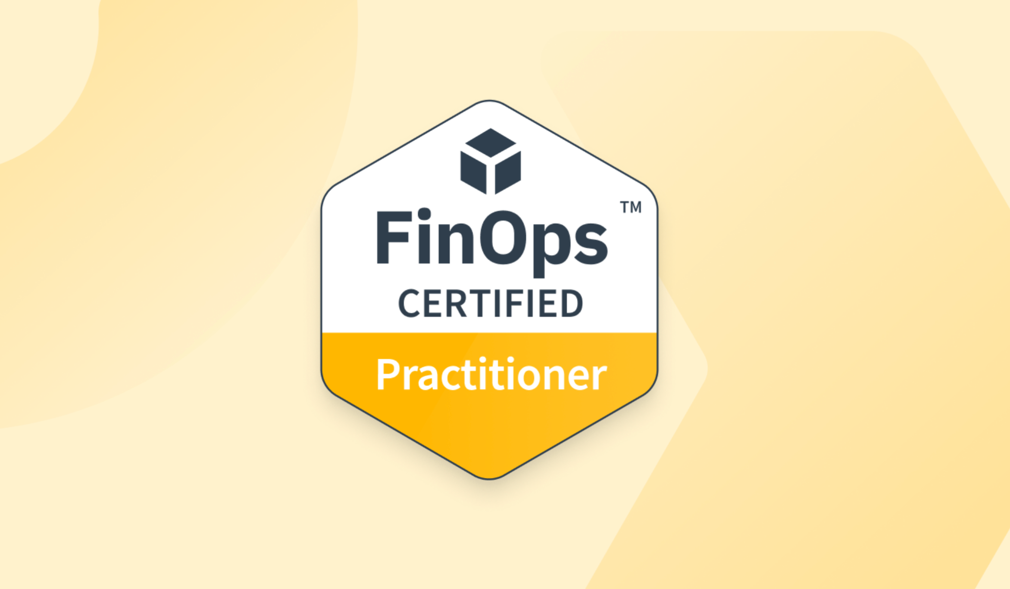 FinOps Practicioner