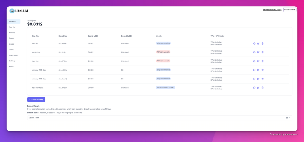 LiteLLM ai cost visibility tool