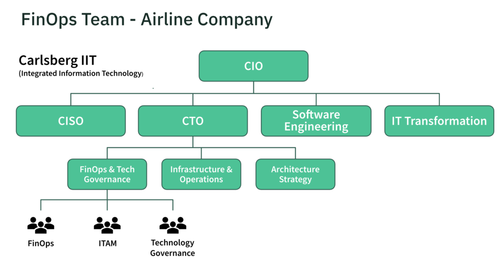 finops team example org chart
