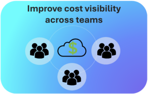 team cloud cost visibility