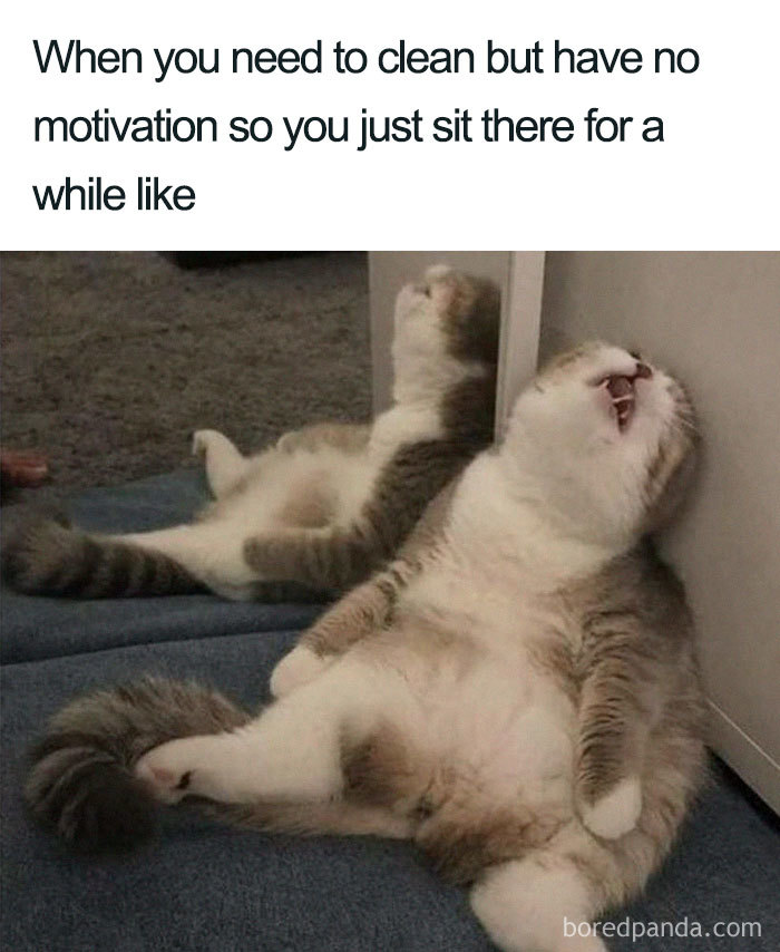 Cleaning meme