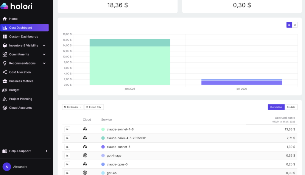 AI cost visibility