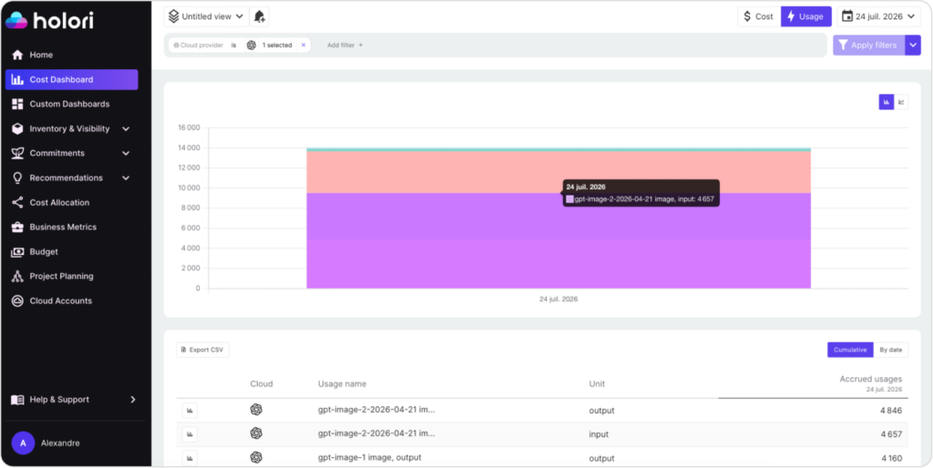 visualize openai usage with Holori AI cost management tool